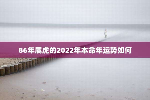 86年属虎的2022年本命年运势如何