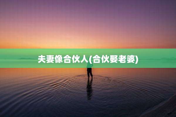 夫妻像合伙人(合伙娶老婆)