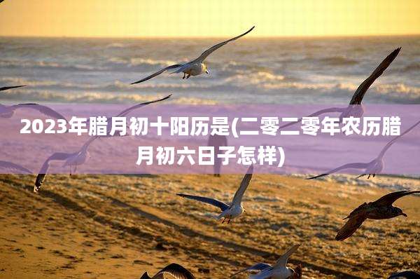 2023年腊月初十阳历是(二零二零年农历腊月初六日子怎样)