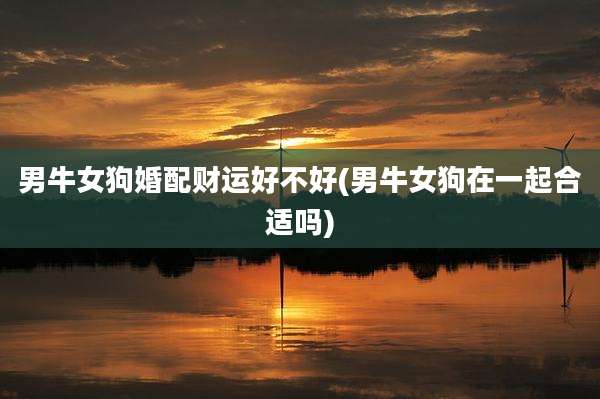 男牛女狗婚配财运好不好(男牛女狗在一起合适吗)