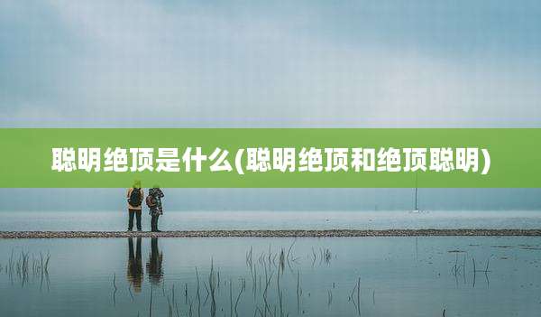 聪明绝顶是什么(聪明绝顶和绝顶聪明)