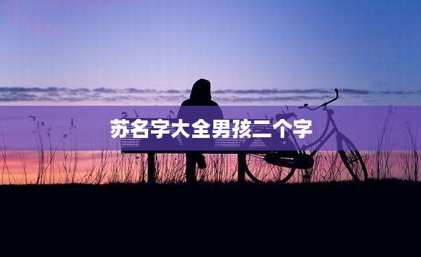 苏名字大全男孩二个字