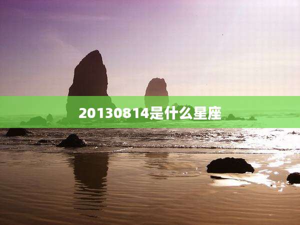 20130814是什么星座