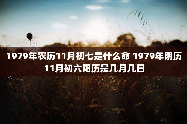 1979年农历11月初七是什么命 1979年阴历11月初六阳历是几月几日