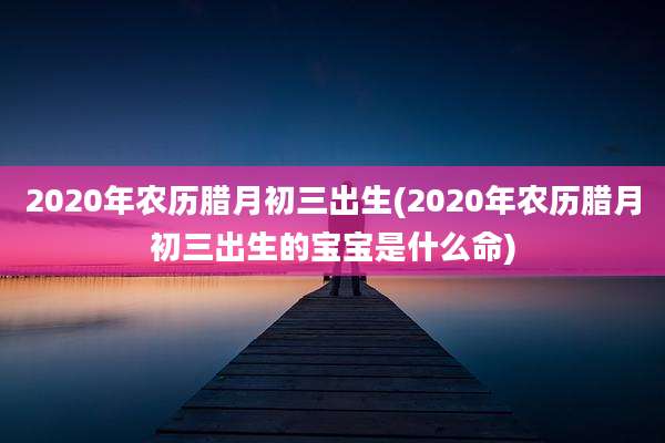 2020年农历腊月初三出生(2020年农历腊月初三出生的宝宝是什么命)