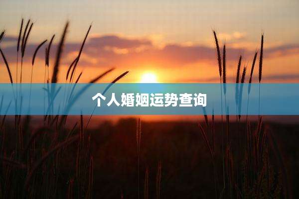 个人婚姻运势查询