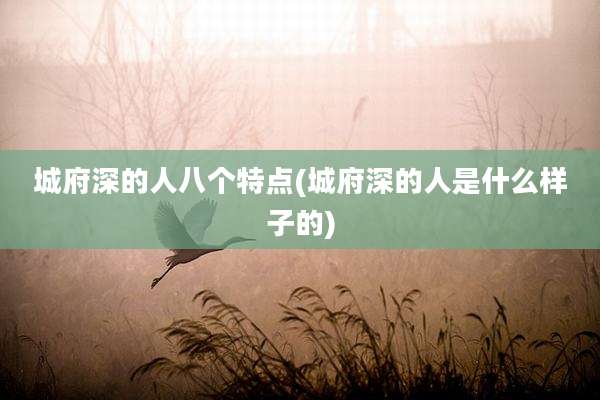 城府深的人八个特点(城府深的人是什么样子的)