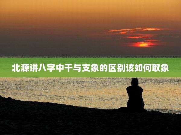 北源讲八字中干与支象的区别该如何取象