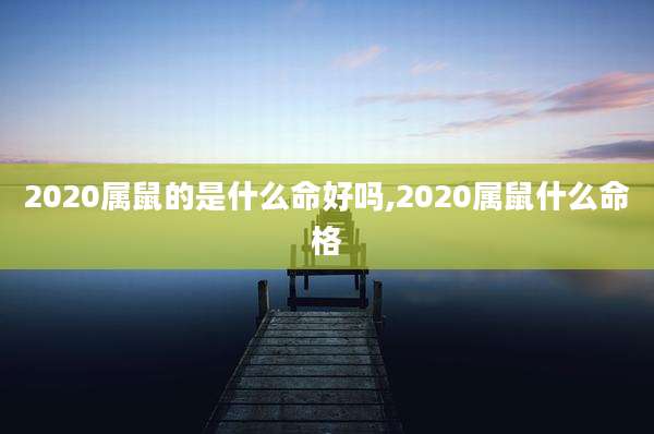 2020属鼠的是什么命好吗,2020属鼠什么命格