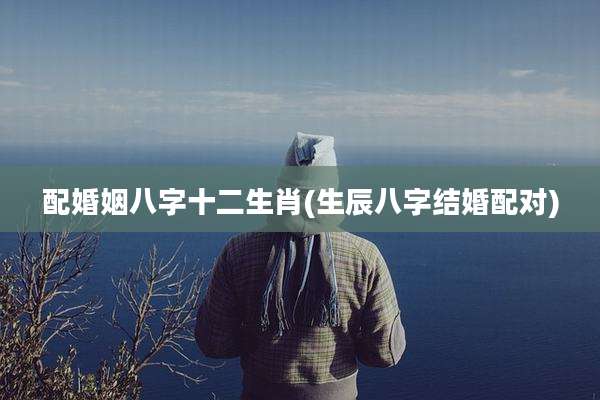配婚姻八字十二生肖(生辰八字结婚配对)