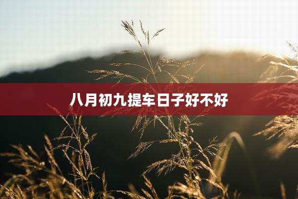 八月初九提车日子好不好