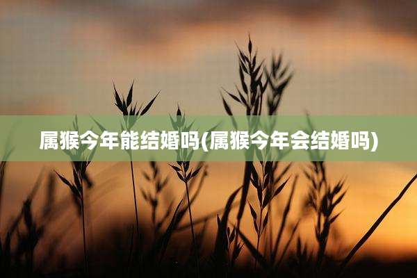 属猴今年能结婚吗(属猴今年会结婚吗)