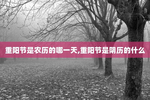 重阳节是农历的哪一天,重阳节是阴历的什么