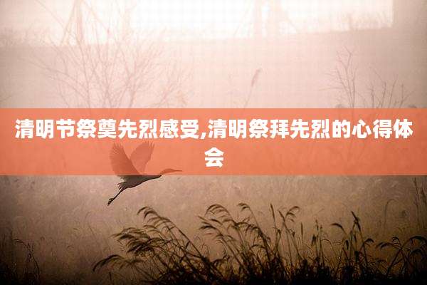 清明节祭奠先烈感受,清明祭拜先烈的心得体会