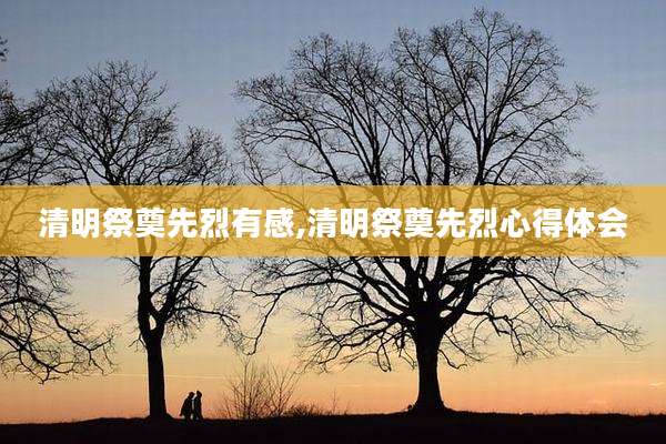 清明祭奠先烈有感,清明祭奠先烈心得体会