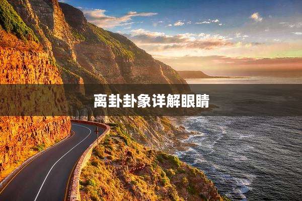 离卦卦象详解眼睛