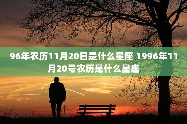 96年农历11月20日是什么星座 1996年11月20号农历是什么星座