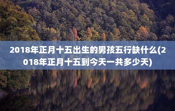 2018年正月十五出生的男孩五行缺什么(2018年正月十五到今天一共多少天)