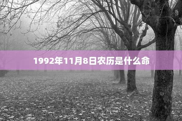 1992年11月8日农历是什么命