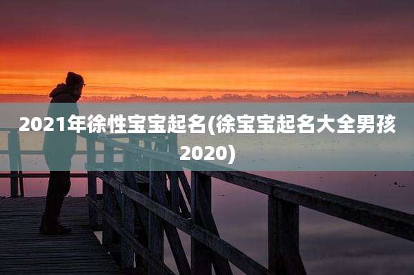 2021年徐性宝宝起名(徐宝宝起名大全男孩2020)