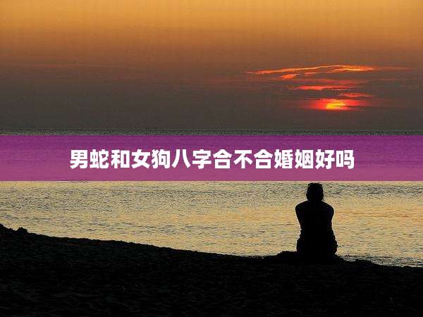 男蛇和女狗八字合不合婚姻好吗