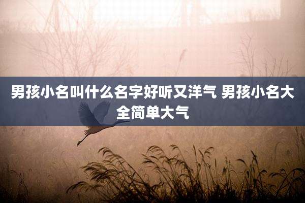 男孩小名叫什么名字好听又洋气 男孩小名大全简单大气