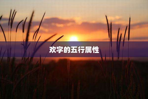 欢字的五行属性