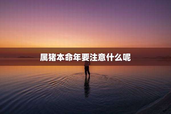 属猪本命年要注意什么呢