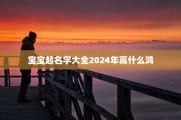 宝宝起名字大全2024年高什么鸿