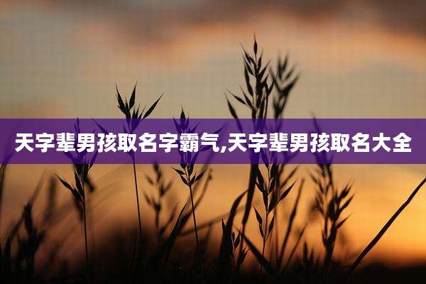 天字辈男孩取名字霸气,天字辈男孩取名大全