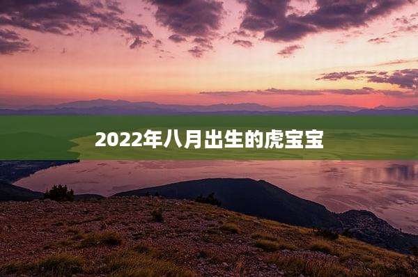 2022年八月出生的虎宝宝