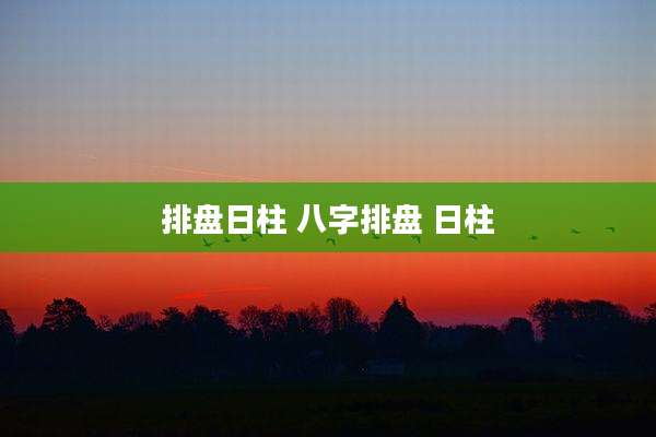 排盘日柱 八字排盘 日柱