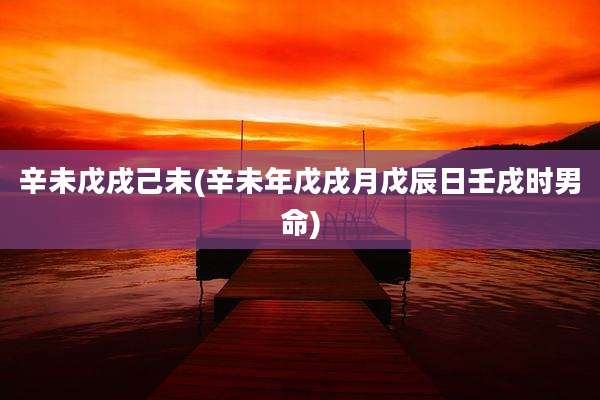 辛未戊戌己未(辛未年戊戌月戊辰日壬戌时男命)