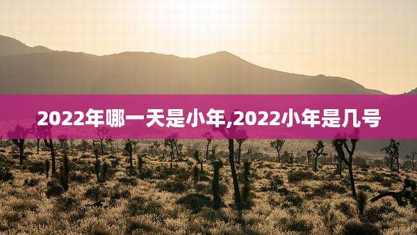 2022年哪一天是小年,2022小年是几号