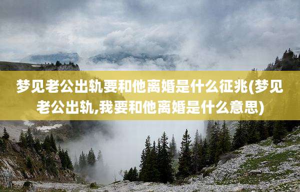 梦见老公出轨要和他离婚是什么征兆(梦见老公出轨,我要和他离婚是什么意思)