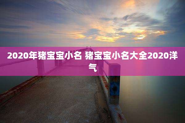 2020年猪宝宝小名 猪宝宝小名大全2020洋气