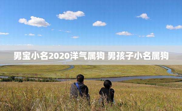 男宝小名2020洋气属狗 男孩子小名属狗