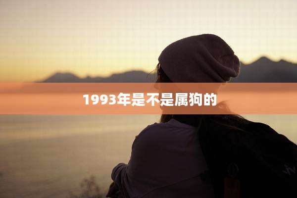 1993年是不是属狗的