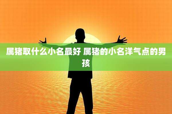 属猪取什么小名最好 属猪的小名洋气点的男孩