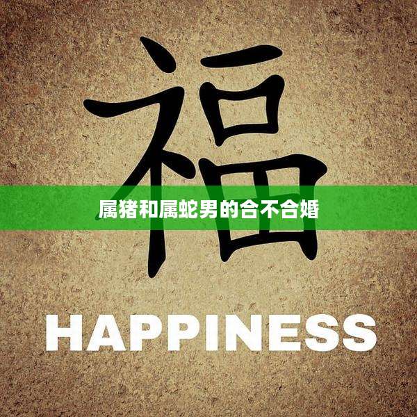 属猪和属蛇男的合不合婚