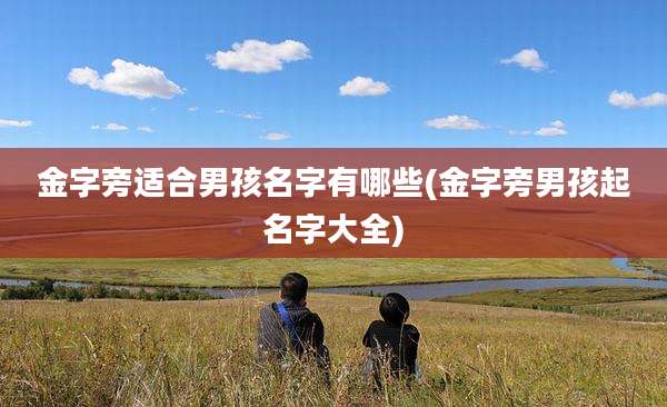 金字旁适合男孩名字有哪些(金字旁男孩起名字大全)