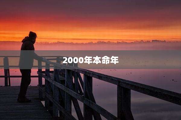 2000年本命年