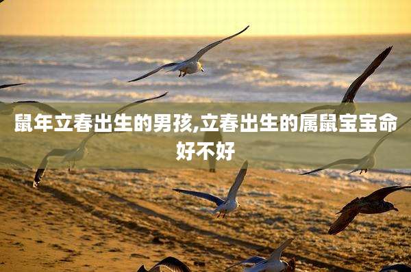 鼠年立春出生的男孩,立春出生的属鼠宝宝命好不好