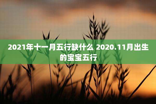 2021年十一月五行缺什么 2020.11月出生的宝宝五行
