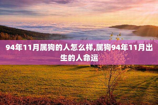 94年11月属狗的人怎么样,属狗94年11月出生的人命运