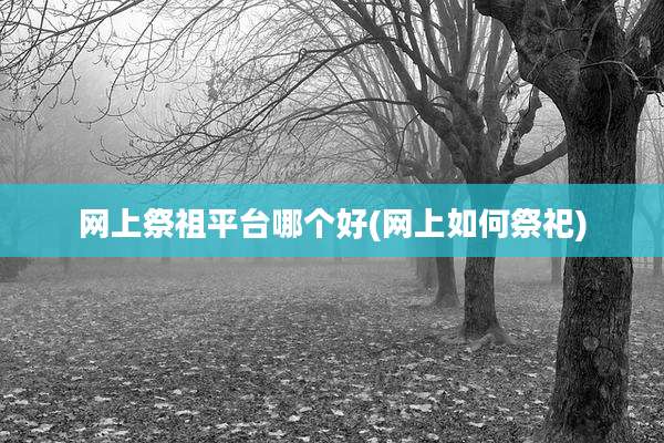 网上祭祖平台哪个好(网上如何祭祀)