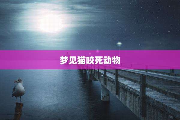 梦见猫咬死动物