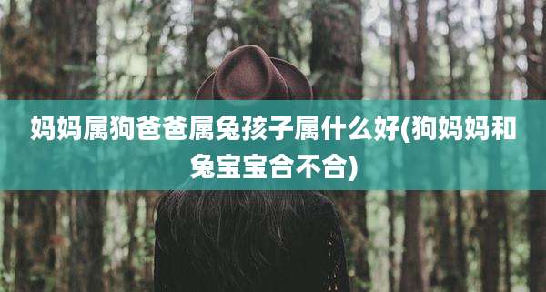 妈妈属狗爸爸属兔孩子属什么好(狗妈妈和兔宝宝合不合)