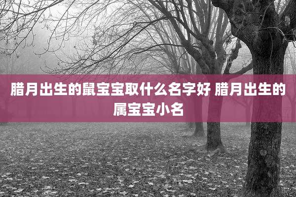 腊月出生的鼠宝宝取什么名字好 腊月出生的属宝宝小名