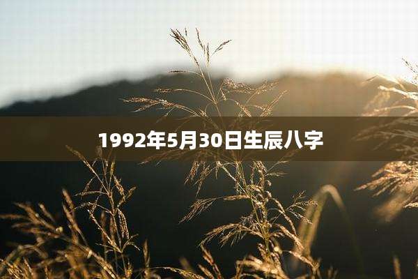 1992年5月30日生辰八字